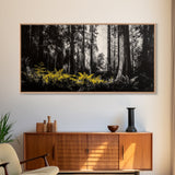 Redwood Forest, Nature Wall Art, Black and White Art, Framed Canvas Print, Rustic Home Decor, Cabin Wall Art, Minimalist Landscape