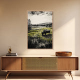Grazing Bison, Wildlife Art, Rustic Home Decor, Nature Inspired, Western Landscape, Monochrome Art, Cabin Wall Art, Framed Canvas Print