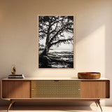 Tree Silhouette, Black White Art, Canvas Print, Dramatic Landscape, Coastal Wall Art, Nature Scene, Monochrome Decor, Minimalist Art
