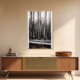 Forest Landscape, Black and White Tree Art, Moody Woodland Scene, Rustic Nature Wall Decor, Cabin Home Artwork, Framed Canvas Print