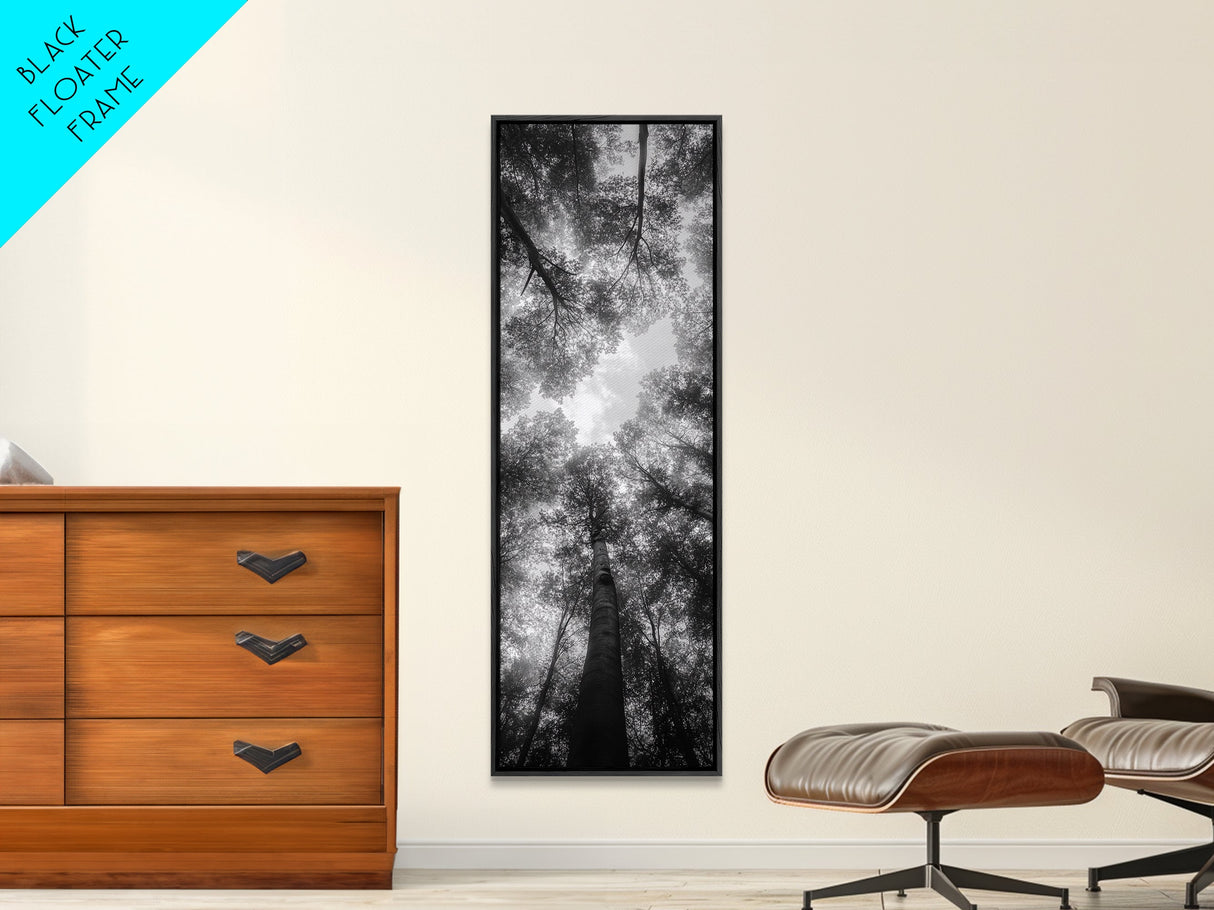 Forest Canopy, Nature Perspective, Tranquil Trees, Black and White, Framed Canvas Print, Cabin Wall Art, Scandinavian Decor, Minimalist Style