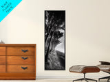 Windy Forest Trail, Dark Coastal Trees, Atmospheric Nature, Framed Canvas Print, Fall Living Room Wall Art, Moody Landscape Aesthetic