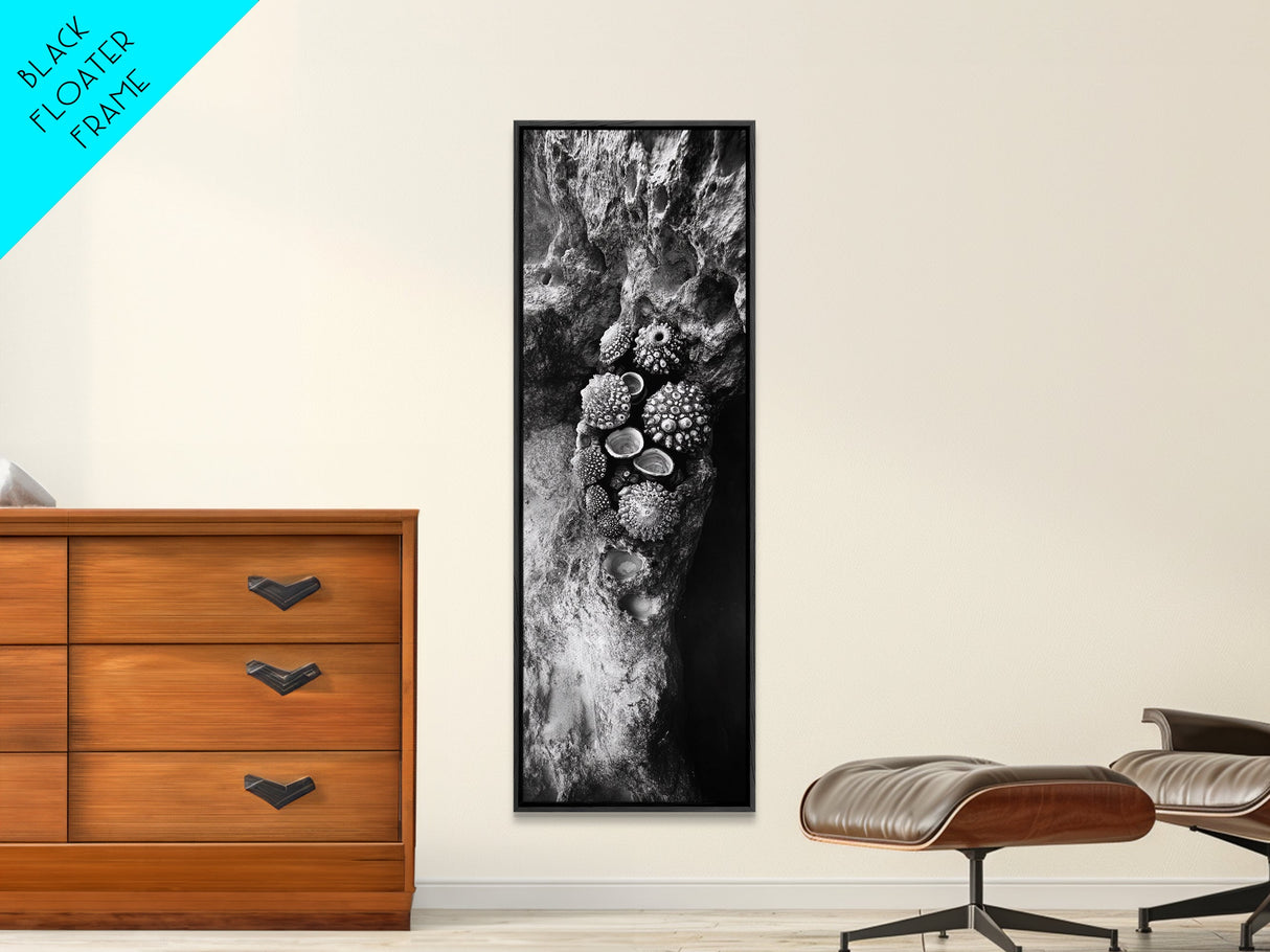 Tide Pool Life, Sea Creatures, Textured Nature, Ocean Details, Shell Art, Framed Canvas Print, Bathroom Wall Art, Coastal Boho Vibes