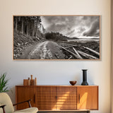 Forest Ocean Trail, Stormy Beach Scene, Driftwood Pathway, Framed Canvas Print, Cabin Entryway or Nature-Inspired Living Room Art