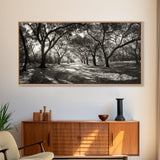 Oak Tree Path, Autumn Forest Glow, Nature Trail Photography, Framed Canvas Print, Hallway Wall Art, Earthy Decor, Woodland Art