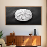 Sand Dollar, Beach Detail, Minimalist Sea, Calm Nature, Framed Canvas Print, Bathroom Wall Art, Coastal Boho Decor, Ocean Zen Style