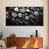 Seashell Close-Up, Ocean Texture Art, Nautical Beach Shells, Earthy Tones Decor, Framed Canvas Print, Bathroom Wall Art, Coastal Style