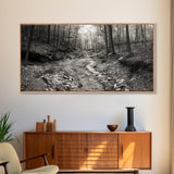 Forest Stream, Tranquil Woodland Path, Autumn Nature Photography, Framed Canvas Print, Rustic Cabin Decor, Living Room Wall Art