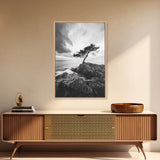Lone Tree, Cliffside Ocean, Windy Coast Art, Framed Canvas Print, Bedroom Wall Art, Modern Nature Photography, Coastal Minimalist Decor