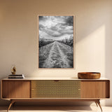Vineyard Rows, Cloudy Skies, Countryside Path, Canvas Print, Farmhouse Wall Art, Kitchen or Dining Decor, Rustic Landscape Photo