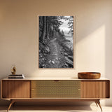 Forest Pathway Trail, Wilderness Escape, Rustic Nature, Black and White Framed Canvas Print, Cozy Cabin or Entryway Wall Art