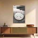 Sand Dollar, Coastal Shore, Ocean Shell Print, Canvas Print, Beachcomber Wall Art, Seaside Bathroom Decor, Nautical Nature Photography