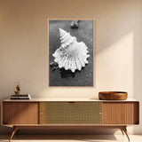 Spiral Shell, Beach Texture, Nature Closeup, Sea Whisper Framed Canvas Print, minimalist beach wall art, boho coastal kitchen decor