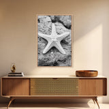 Starfish Closeup, Coastal Shell, Beach Texture, Framed Canvas Print, Bathroom or Ocean Nursery Decor, Minimal Beach Art