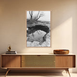 Reflected Trees Pool, Black White Nature, Moody Autumn Wall Art, Rustic Minimalist Style, Framed Canvas Print, Entryway Home Decor