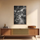 Forest Path, Twisting Trees, Nature Trail Scene, Framed Canvas Print, Earthy Wall Art, Boho Woodland Decor, Entryway or Hallway Accent