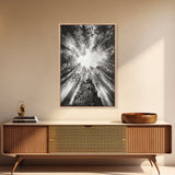 Redwood Canopy Sky, Majestic Forest Trees, Vertical Nature Scene, Framed Canvas Print, Wilderness Wall Art, Lodge or Den Decor