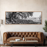 River Tree Roots, Tranquil Forest Landscape, Nature Wall Decor, Framed Canvas Print, Living Room Art, Black and White Earthy Style