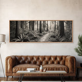 Redwood Forest, Nature Path, Fern Understory, Framed Canvas Print, Moody Nature Photography, Office Wall Art, Forest Bathing Vibes