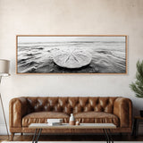 Sand Dollar, Ocean Shore, Calm Waters, Canvas Print, Coastal Wall Art, Minimalist Bathroom Decor, Seashell Beach Photography