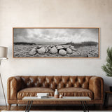 Scallop Shell Cluster, Dune Beach Scene, Canvas Print, Coastal Kitchen Decor, Minimalist Shell Wall Art, Natural Beach Aesthetic