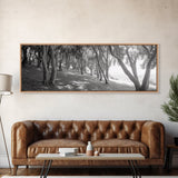 Forest Path, Tree Tunnel, Light Shadows, Woodland Magic, Framed Canvas Print, Nature Lover Gift, Entryway Wall Art, Modern Rustic Style