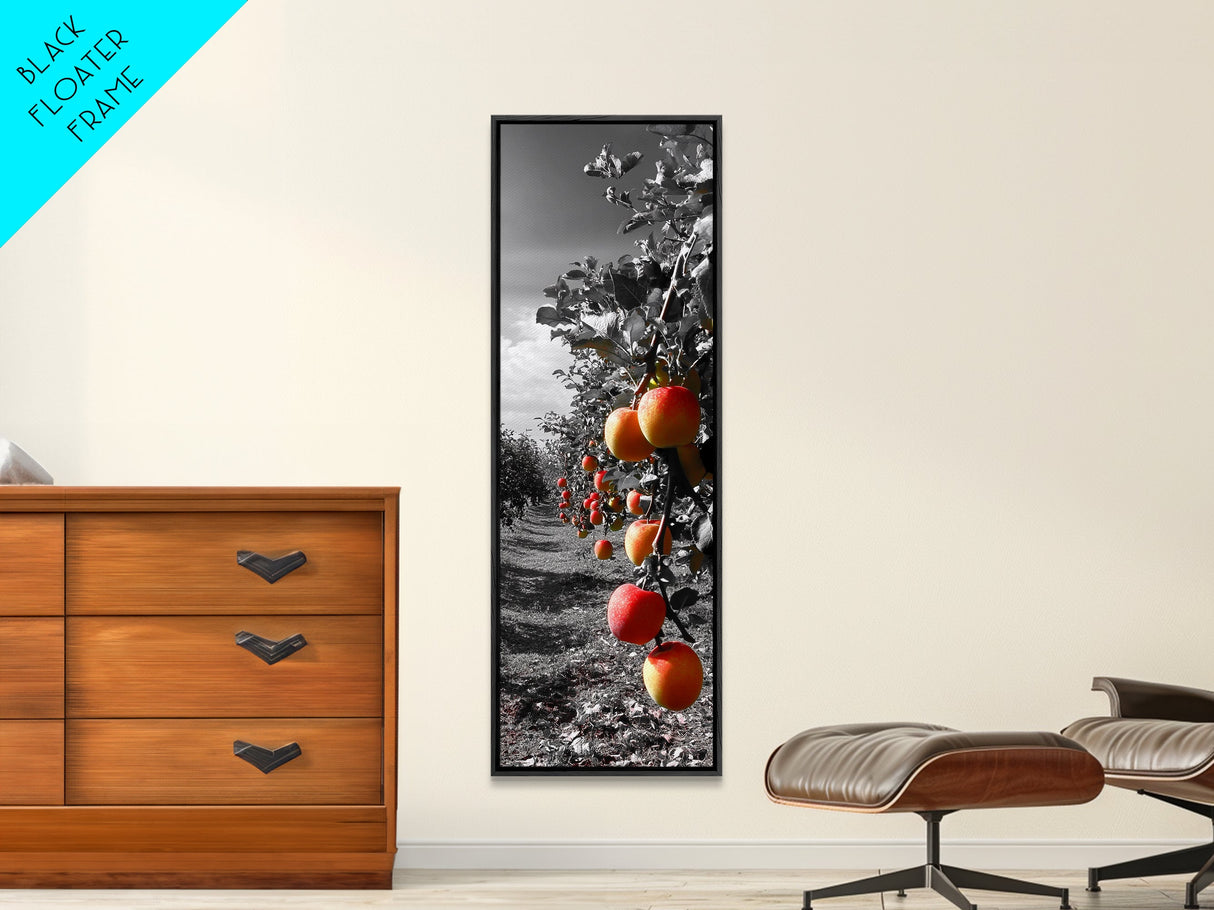 Orchard Harvest, Autumn Apples, Nature Photography, Framed Canvas Print, Kitchen Wall Art, Rustic Decor, Farmhouse Wall Accent