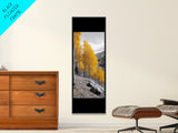 Golden Aspens, Fall Forest, Mountain Trees, Framed Canvas Print, Autumn Wall Art, Nature Cabin Decor, Fall Foliage, Rustic Living Room