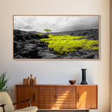 Lone Tree Lava, Surreal Earth Tones Decor, Abstract Volcanic Art, Black and Yellow Landscape, Canvas Print, Boho Living Room Accent