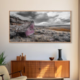 Painted Boulder, Wild Plains, Desert Glow, Framed Canvas Print, Fall Wall Art, Rustic Decor, Southwestern Art, Landscape Photography