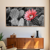 Pink Cactus Bloom, Desert Flower Closeup, Botanical Art, Canvas Print, Southwest Decor, Kitchen Wall Art, Nature Photography Print
