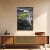 Mossy Stone Closeup, Earthy Nature Texture, Minimal Landscape Print, Framed Canvas Print, Modern Office Wall Decor, Zen Rock Art