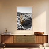 Yellow Lichen Rock, Monochrome Landscape, Desert Texture, Canvas Print, Rustic Wall Art, Minimalist Decor, Entryway or Office Art