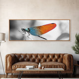 Closeup Dragonfly, Colorful Wings, Abstract Nature, Macro Art — Framed Canvas Print, Living Room Decor, Botanical Wall Art, Modern Minimal