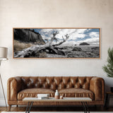 Driftwood, Coastal Tree, Beach Skeleton, Ocean Landscape, Framed Canvas Print, Coastal Decor, Neutral Tones, Office Wall Art