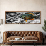 Colorful Fish Closeup, Underwater Art, Nature Photography, Canvas Print, Coastal Bathroom Decor, Vibrant Marine Life Wall Art