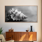 Sea Shell, Wabi Sabi Art, Coastal Decor, Minimalist Art, Nautical Wall Art, Moody Art, Extra Wide Art, Framed Canvas Print