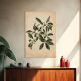 Mistletoe Canvas Print - Framed Canvas - Minimalist Christmas Art - Boho Christmas Art - Rustic Christmas Art