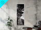 Windy Forest Trail, Dark Coastal Trees, Atmospheric Nature, Framed Canvas Print, Fall Living Room Wall Art, Moody Landscape Aesthetic