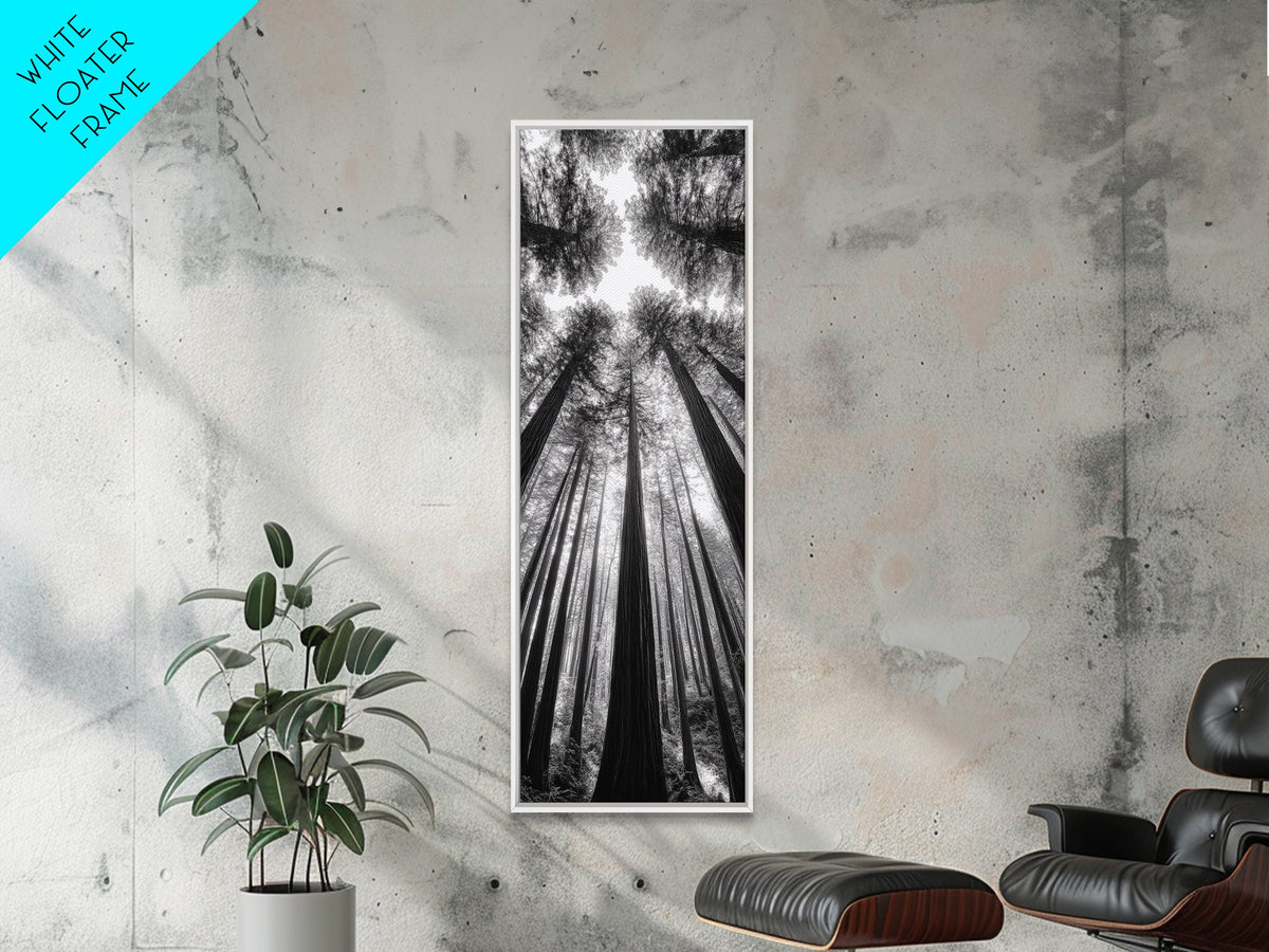 Redwood Forest, Sunlight Trees, Nature Canopy, Canvas Print, Serene Woodland Art, Cabin Wall Decor, Black and White Forest Art, Bedroom Wall Art