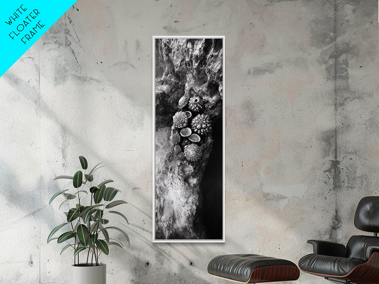 Tide Pool Life, Sea Creatures, Textured Nature, Ocean Details, Shell Art, Framed Canvas Print, Bathroom Wall Art, Coastal Boho Vibes