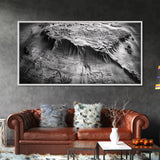 Topographic Map Detail, Antique Terrain, Black and White Landscape, Canvas Print, Office Wall Art, Historical Geography Decor