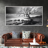 Coastal Tree, Tidal Shore, Windswept Beauty, Natural Balance, Framed Canvas Print, Bedroom Wall Art, Boho Decor, Serene Seascape