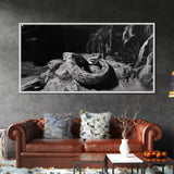 Jungle Snake Scene, Reptile Animal Art, Bold Black and White, Framed Canvas Print, Wildlife Decor, Man Cave or Study Wall Art