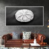 Sand Dollar, Beach Detail, Minimalist Sea, Calm Nature, Framed Canvas Print, Bathroom Wall Art, Coastal Boho Decor, Ocean Zen Style