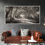 Tree Tunnel Trail, Light Dappled Path, Forest Archway Scene, Framed Canvas Print, Hallway Wall Art, Boho Natural Decor, Living Room Wall Art