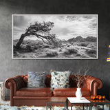 Twisted Tree, Desert Landscape, Surreal Nature, Canvas Print, Rustic Western Decor, Living Room Wall Art, Moody Earth Tones, Fall Aesthetic