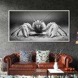 Hermit Crab, Close-Up, Ocean Creature, Monochrome Nature, Framed Canvas Print, Marine Wall Decor, Coastal Kitchen Wall Art, Entryway Accent