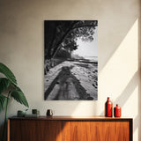 Coastal Shadows Path, Black and White Landscape, Framed Canvas Print, Entryway Art, Calm Nature Scene, Moody Coastal Wall Decor