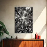 Tree Canopy, Forest Light, Upward View, Canvas Print, Woodland Wall Art, Living Room Decor, Nature Perspective Photography